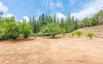 Diapositive de propriété 46