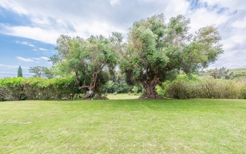 Diapositive de propriété 56