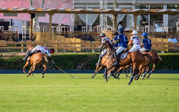 Diapositive de propriété 12