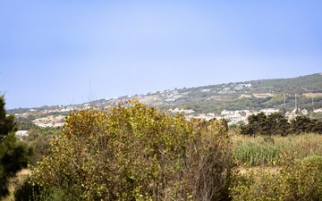 Property slide 42