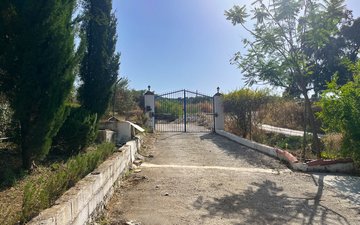 Property slide 19