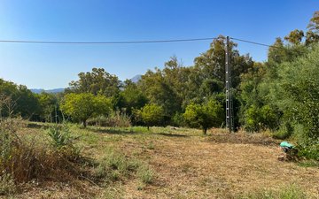 Property slide 36
