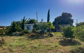 Property slide 37