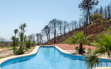 Property slide 24