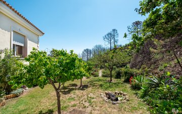 Property slide 29