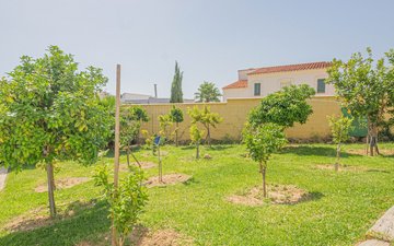 Property slide 10