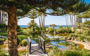 Diapositiva 11 de la propiedad