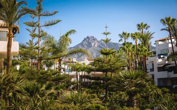 Diapositiva 14 de la propiedad