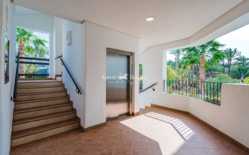 Property slide 41