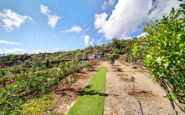 Property slide 37