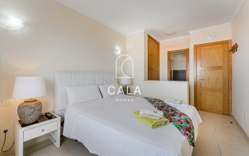 Property slide 11