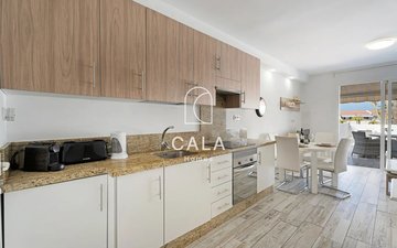 Property slide 11