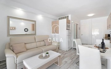 Property slide 13