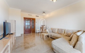 Property slide 6