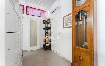Property slide 37
