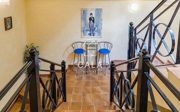 Property slide 50