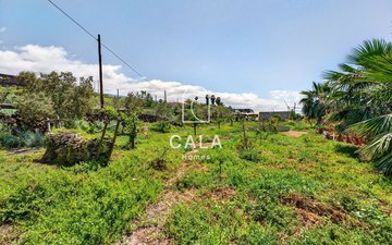 Property slide 38