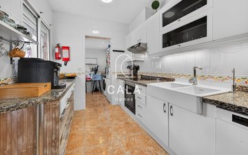 Property slide 19