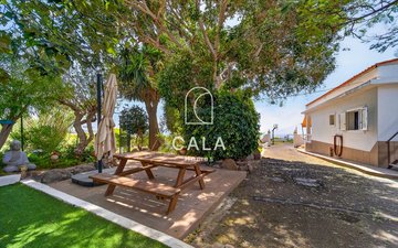 Property slide 38