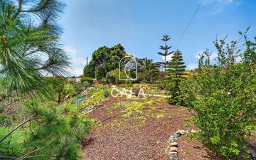 Property slide 40
