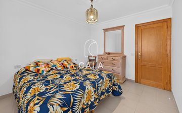 Property slide 13