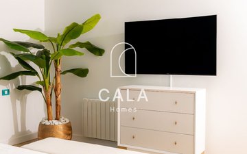 Property slide 24