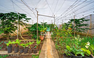 Property slide 36