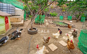Property slide 50