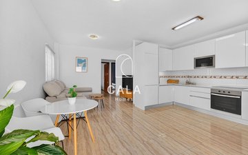 Property slide 4