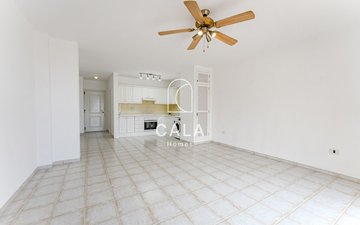 Property slide 11