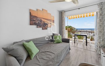 Property slide 6