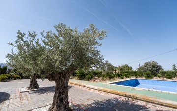 Property slide 21