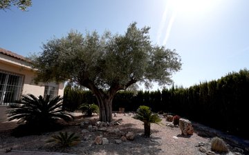 Property slide 26