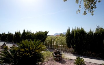 Property slide 30