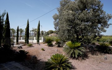 Property slide 42