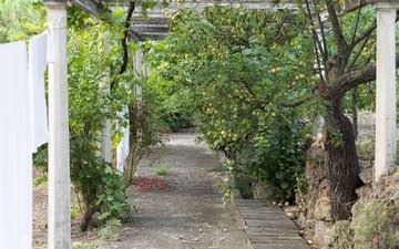 Property slide 47