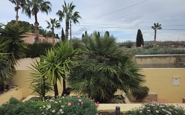 Property slide 32