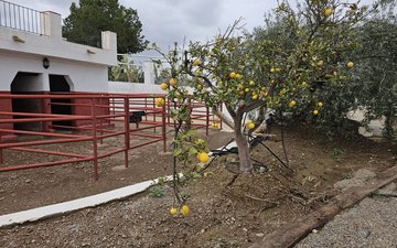 Property slide 18