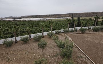 Property slide 37
