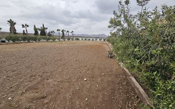 Property slide 46