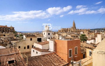 Property slide 19