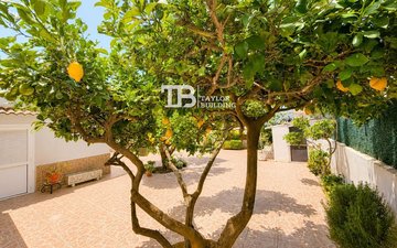Property slide 24