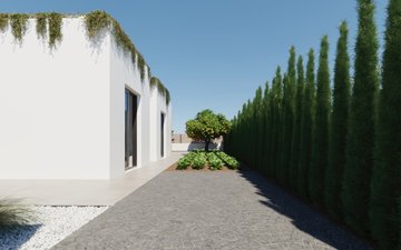 Property slide 19