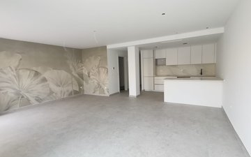 Property slide 31