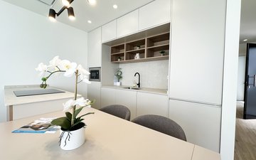 Property slide 11