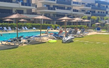 Diapositive de propriété 31