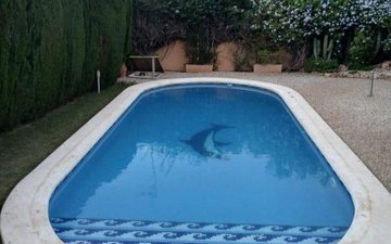 Property slide 10