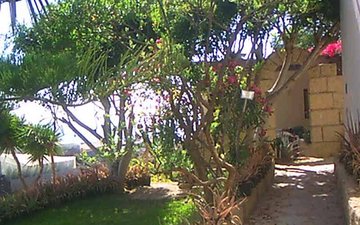 Property slide 12