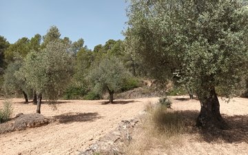 Property slide 4