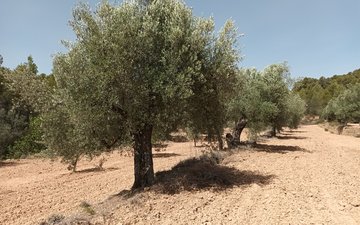 Property slide 10